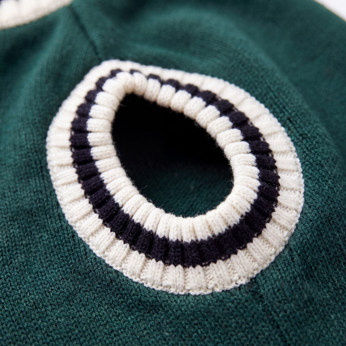 Gros plan sur l'emmanchure rayée crème et bleu marine du pull chien tricot vert