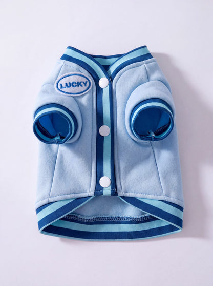 Pull petit chien ourson 3D bleu vu de face, écusson LUCKY et boutons-pression