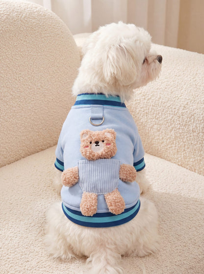 Pull petit chien bleu vu de dos sur un Bichon maltais, ourson en peluche et anneau