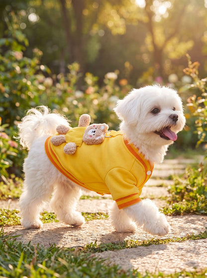 Bichon maltais qui trotte dans le jardin avec le pull petit chien ourson 3D jaune