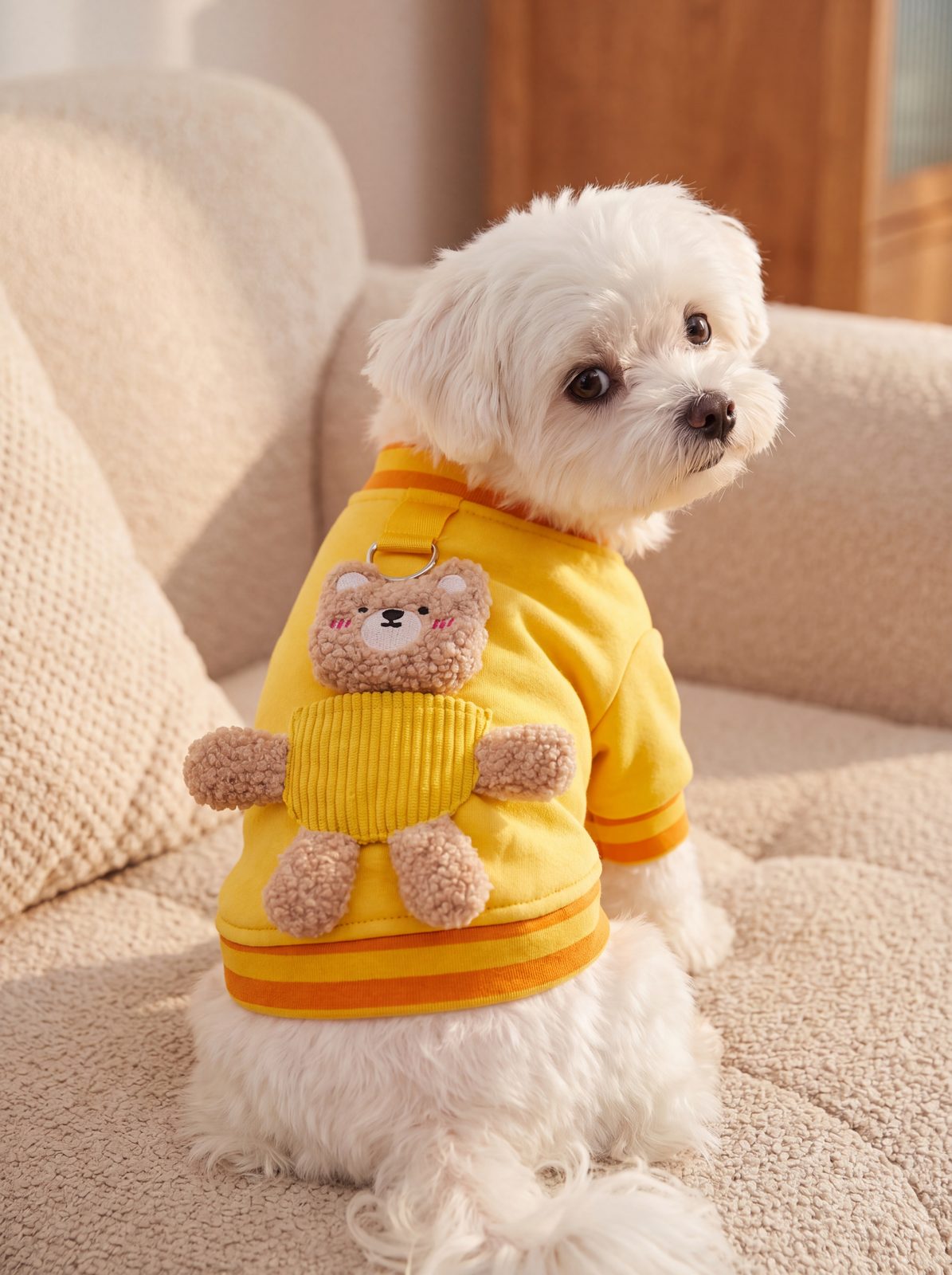 Bichon maltais vu de dos sur un canapé avec le pull jaune et son ourson en peluche