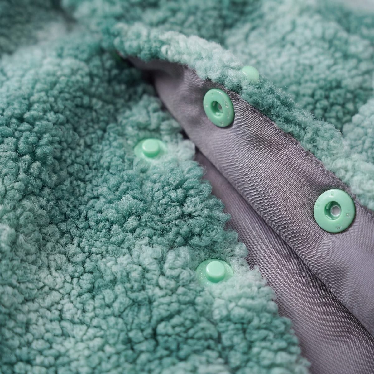 Chien sur une pelouse avec un pull teddy vert et zoom sur le tissu polaire bouclé