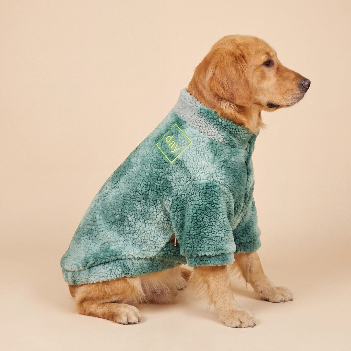 Golden retriever assis sur des feuilles d'automne avec un pull polaire teddy vert dégradé