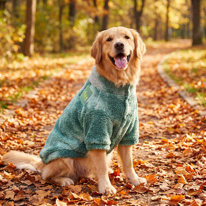 Gros plan sur la doublure grise lisse et le bord en tissu teddy vert du pull pour grand chien