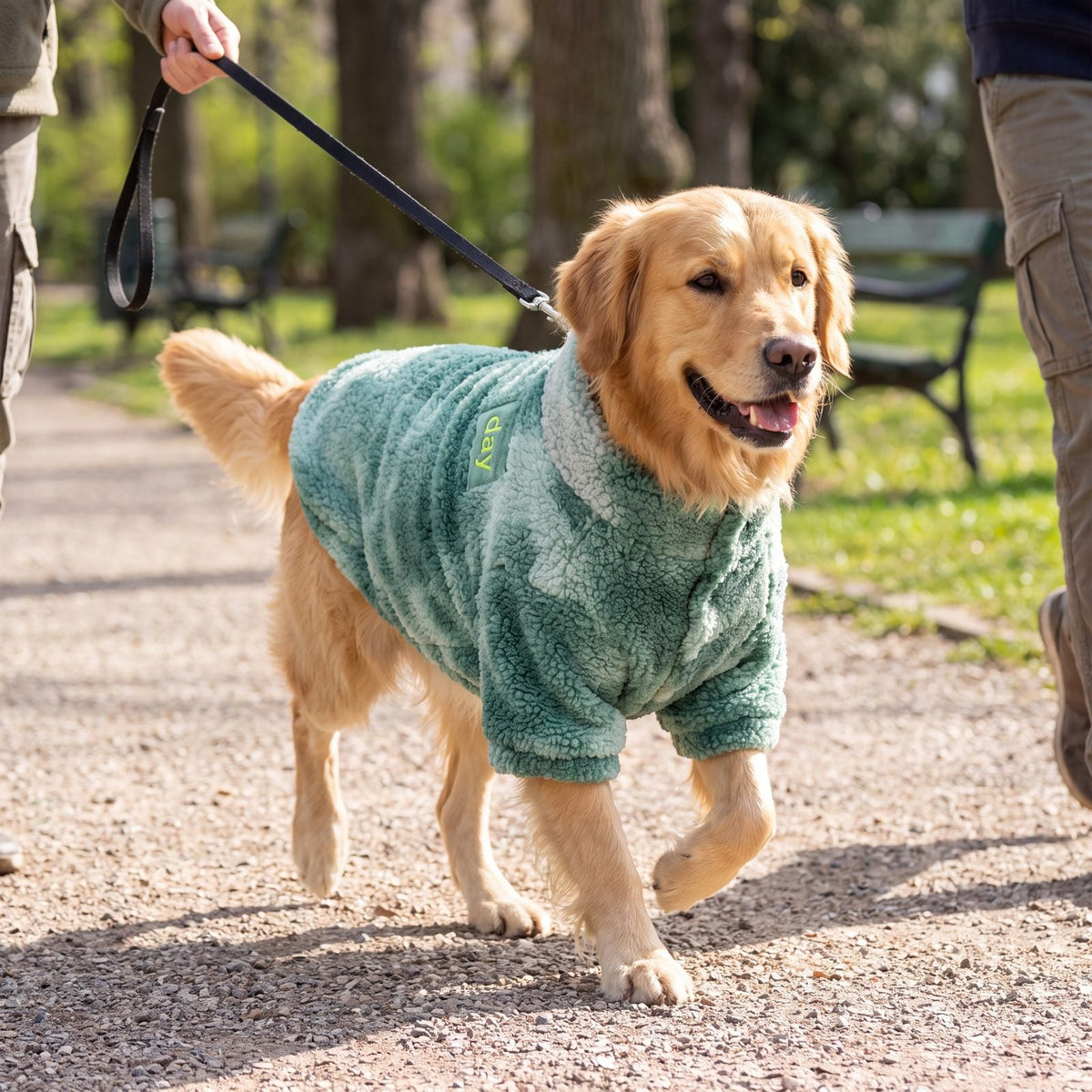 Gros plan sur le tissu teddy vert et le col côtelé gris-vert du pull polaire pour grand chien
