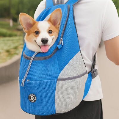  Sac a dos chien bleu clair porté par un homme avec un Corgi heureux – BuddyGo