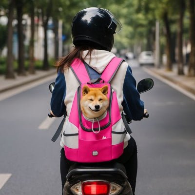 Sac a dos chien rose porté en moto avec un Shiba – modèle BuddyGo