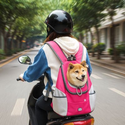  Sac a dos chien rose sur moto en pleine vitesse avec un Shiba – modèle BuddyGo