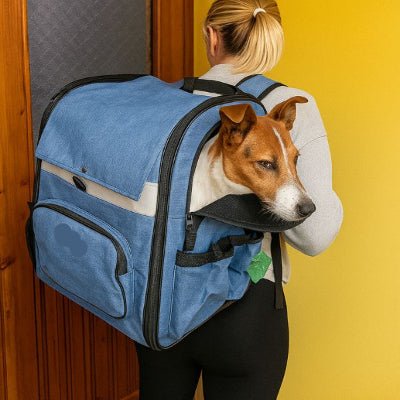 sac a dos chien maison jack russell transport rigide pour petit chien airpack