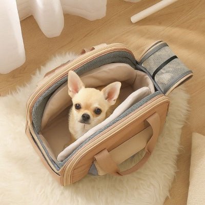 sac de transport pour chien vue du dessus chihuahua confortablement installé dans le sac – FluffyBaby™