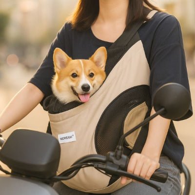 sac de transport pour chien en scooter corgi maille respirante conduite urbaine Hidream™