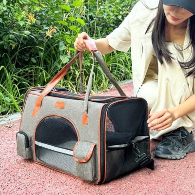 sac de transport pour chien gris posé au sol avec sangles renforcées TravelEase™