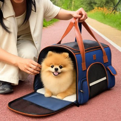 sac de transport pour chien bleu avec petit spitz confortable en extérieur TravelEase™