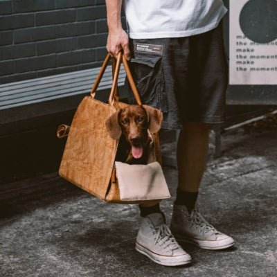 sac de transport pour chien porté à la main avec chien TravelEco™