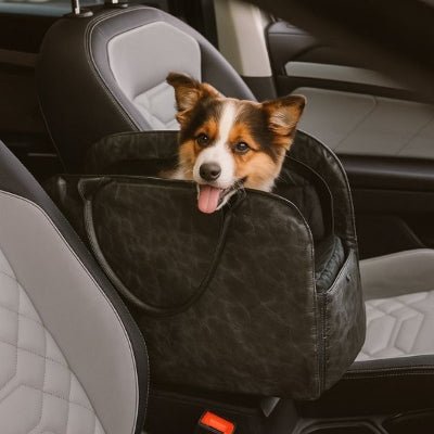 sac de transport pour chien noir avec chien assis langue sortie TravelEco™