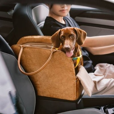 sac de transport pour chien en voiture avec chien regardant dehors TravelEco™