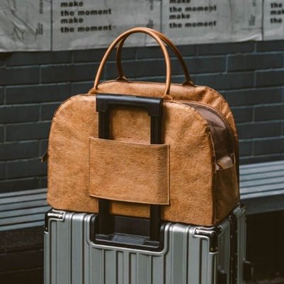 sac de transport pour chien fixé sur valise de voyage TravelEco™