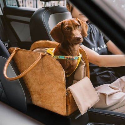 sac de transport pour chien en voiture avec chien assis TravelEco™