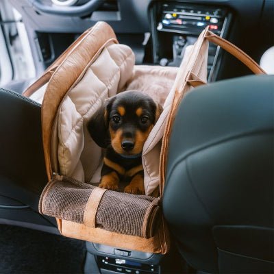sac de transport pour chien avec chiot assis intérieur voiture TravelEco™