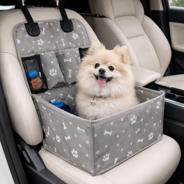 installation siege auto chien vide sur banquette voiture montrant structure rigide et protection complete