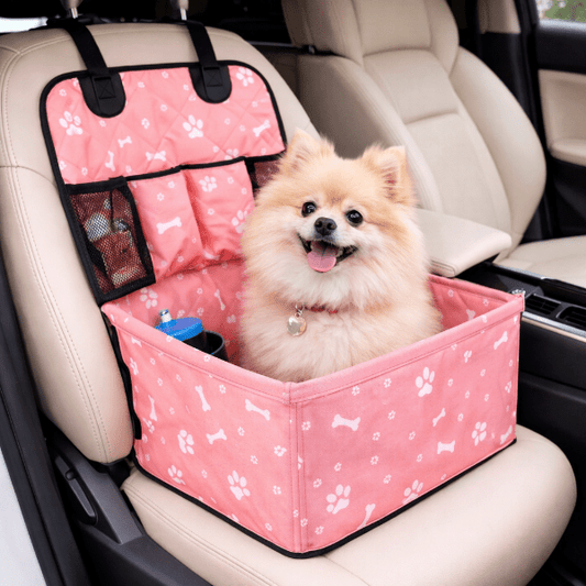 petit chien assis confortablement dans booster voiture chien rose fixe sur siege passager