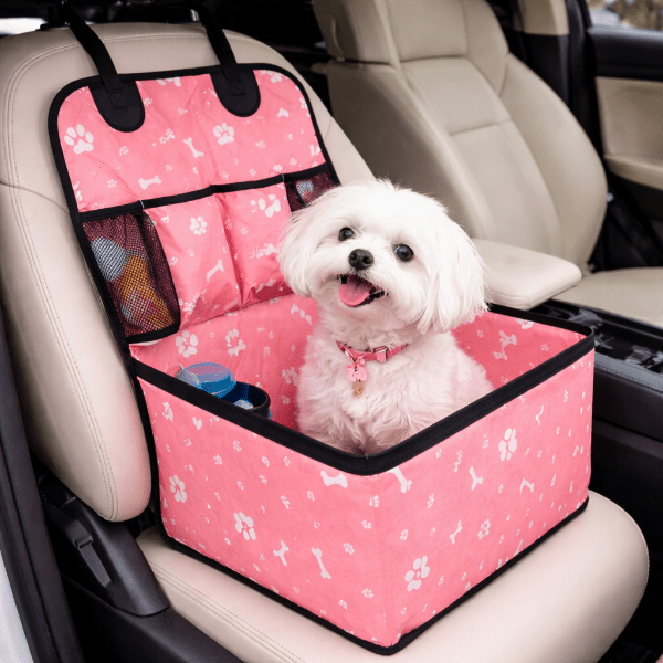 chien transporte en toute securite dans siege transport voiture noir avec rebords protecteurs