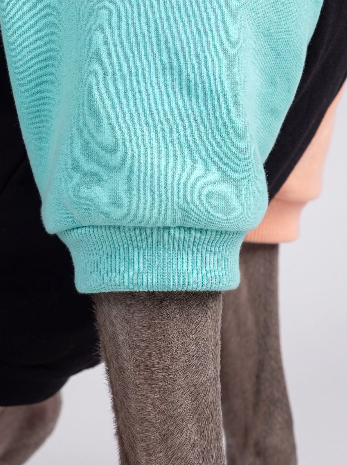 Gros plan sur la manche turquoise et son poignet côtelé du sweat à capuche chien color block