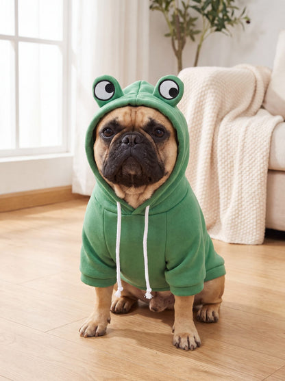 Bouledogue français assis de face avec un sweat à capuche grenouille vert en polaire, capuche relevée