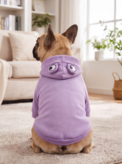 Bouledogue français vu de dos avec un sweat à capuche grenouille violet, yeux brodés sur la capuche