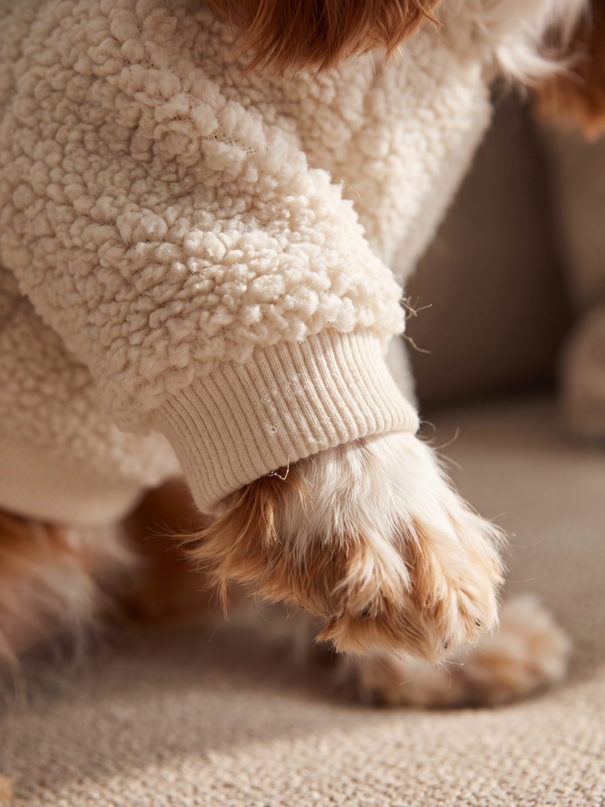 Gros plan sur les poignets côtelés d'un sweat à capuche chien en sherpa crème