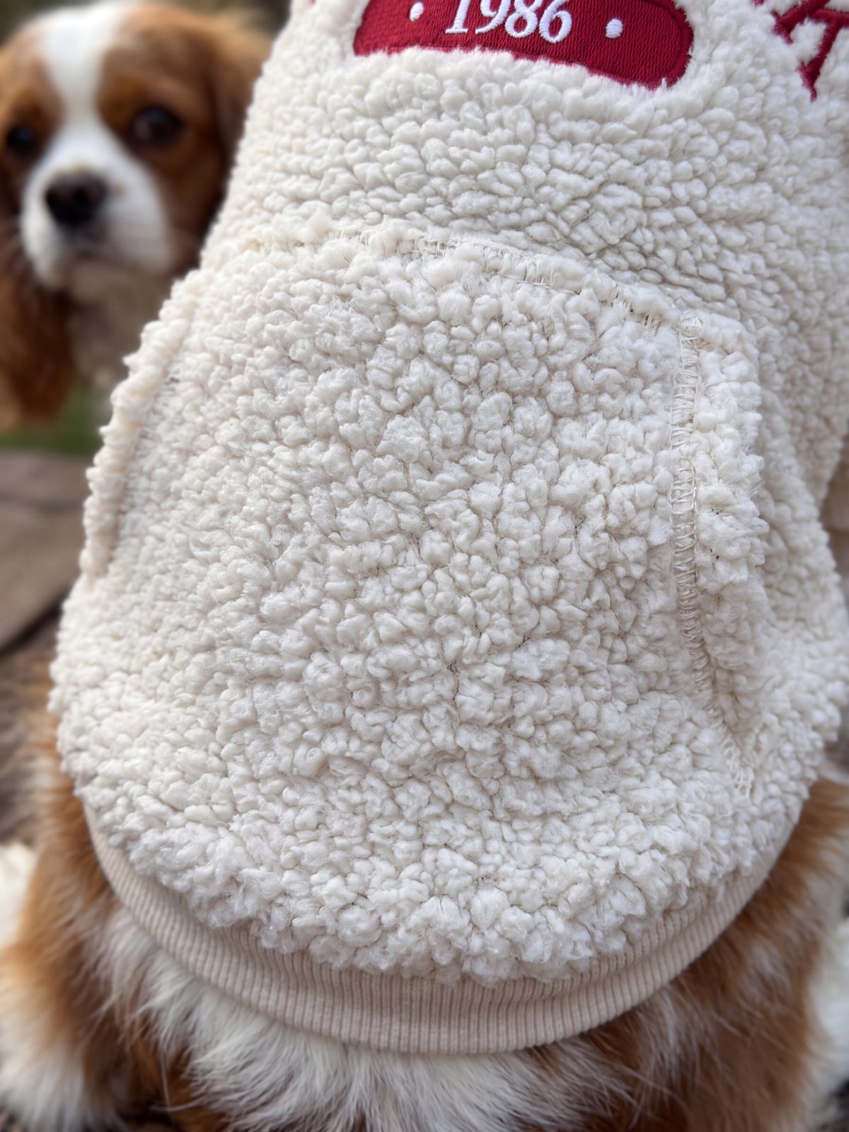 Gros plan sur la poche kangourou en sherpa d'un sweat à capuche pour chien crème