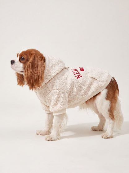 Cavalier King Charles de profil sur fond clair avec un sweat à capuche chien New York crème