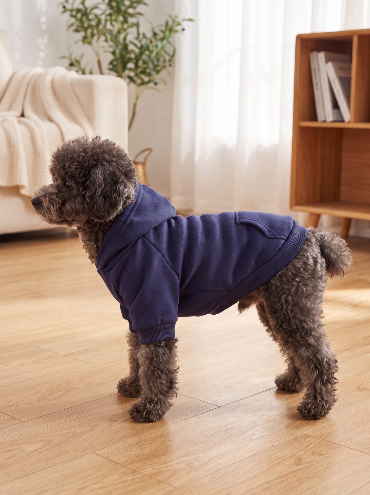 Chien caniche de profil portant le sweat à capuche bleu marine