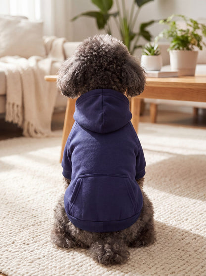 Chien caniche vu de dos avec la poche du sweat à capuche bleu marine