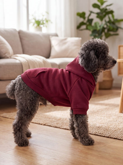 Chien caniche de profil portant le sweat à capuche bordeaux