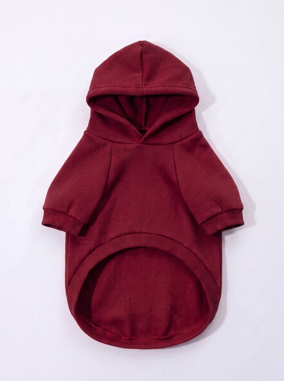 Sweat à capuche chien bordeaux avec poche, vue de face