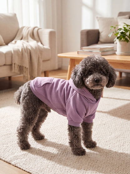 Caniche nain de trois quarts portant un sweat à capuche mauve pour chien