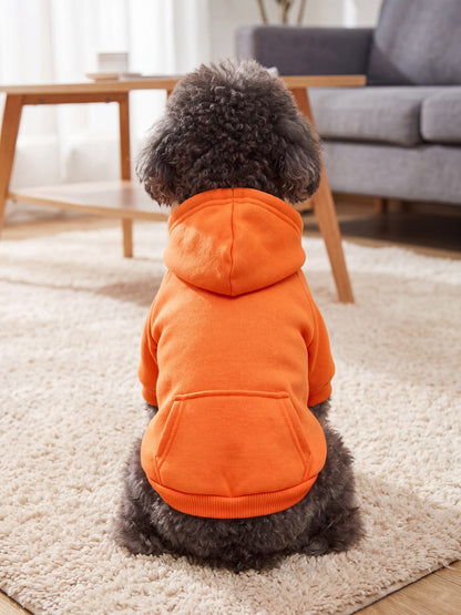 Caniche vu de dos portant un sweat à capuche chien orange avec poche sur le dos