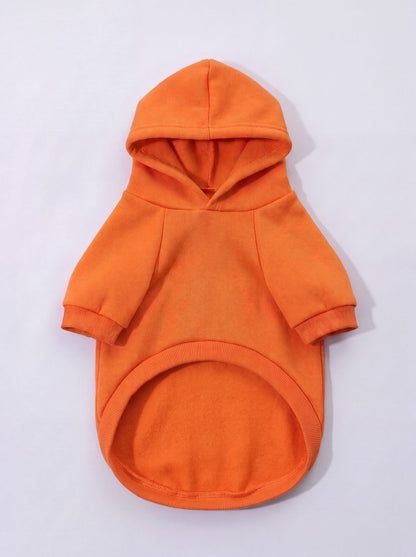 Sweat à capuche chien orange avec poche, vue de face