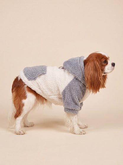 Chien de profil en studio avec un sweat à capuche teddy gris et crème, poche et anneau au dos