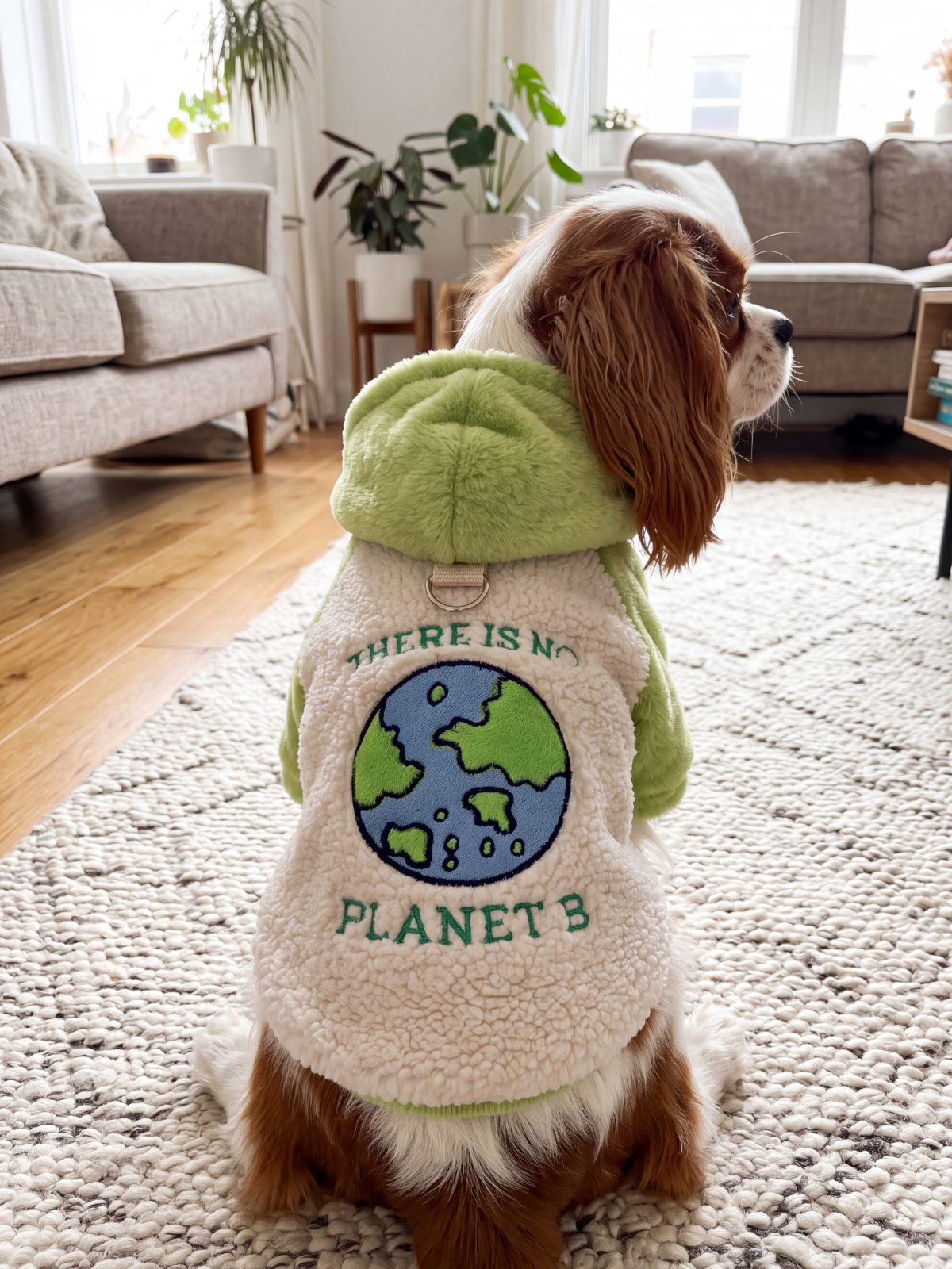 Dos du sweat à capuche chien teddy sherpa avec broderie planète et anneau pour la laisse