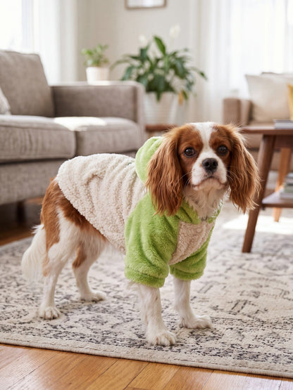 Sweat à capuche chien teddy sherpa vert et crème vu de trois-quarts sur un Cavalier King Charles