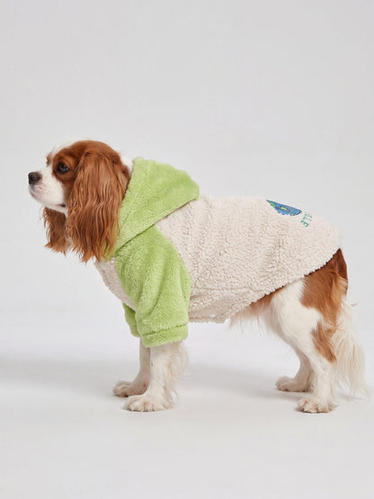 Sweat à capuche chien teddy sherpa vert et crème de profil sur fond de studio