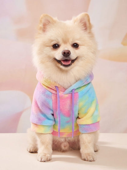Spitz nain assis face caméra dans un sweat à capuche chien tie-dye pastel
