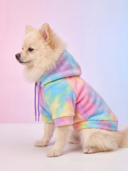 Spitz nain assis de profil dans un sweat à capuche chien tie-dye pastel