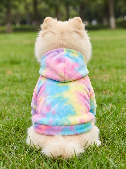 Chien vu de dos dans un sweat à capuche tie-dye pastel sur une pelouse